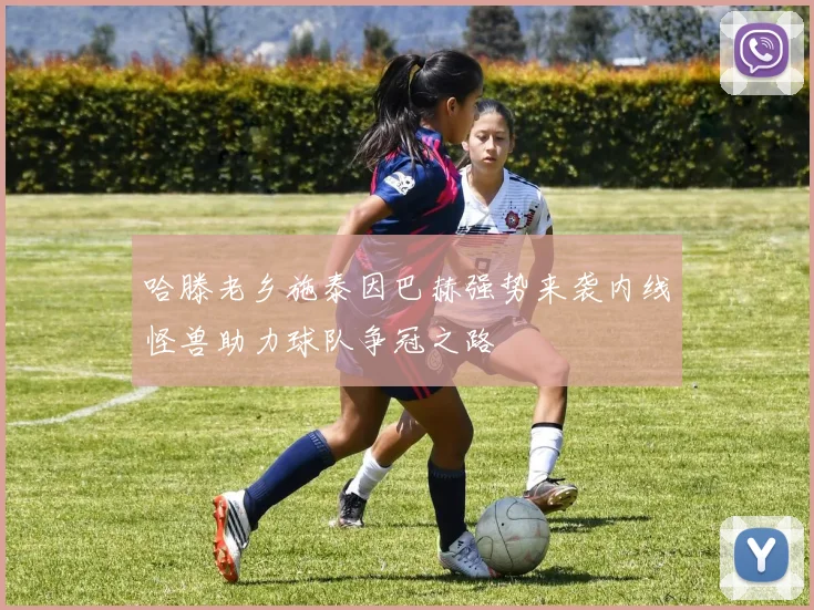 哈滕老乡施泰因巴赫强势来袭内线怪兽助力球队争冠之路